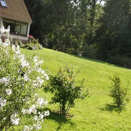 Hotel Du Moulin Aux Draps Desvres