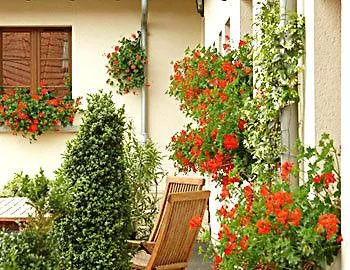 Hotel Du Moulin Aux Draps Desvres